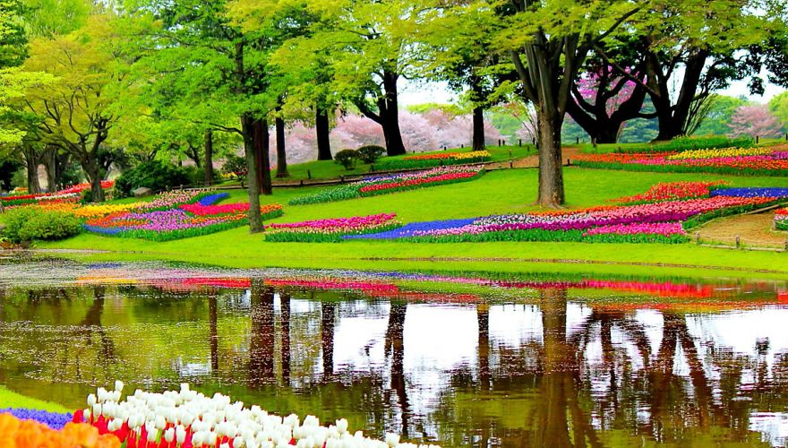 wycieczka-amsterdam-i-festiwal-tulipanow-wycieczka