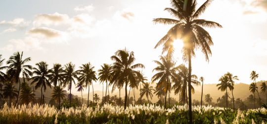 wyspy zielonego przylądka