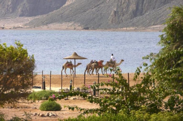 Happy Life Village Dahab