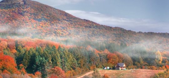 bieszczady