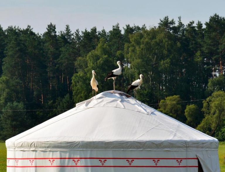 Dzika Jurta na Łebkach