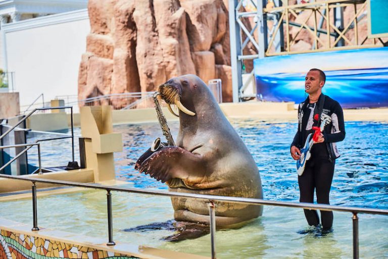 The Land Of Legends Kingdom Hotel