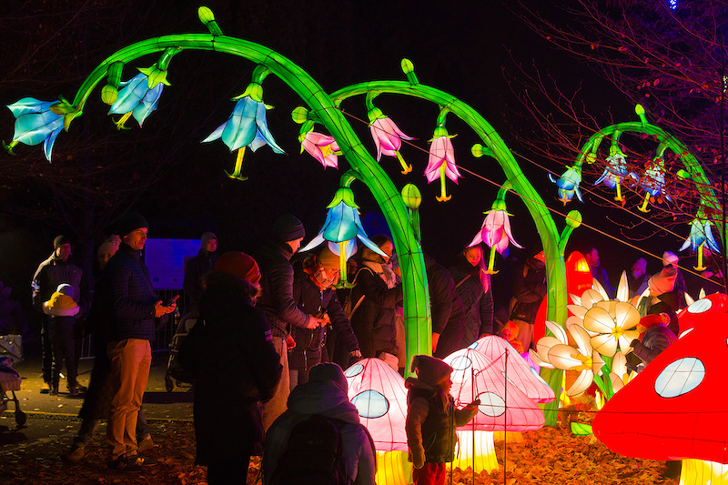 Ogród Świateł Piotrus Pan