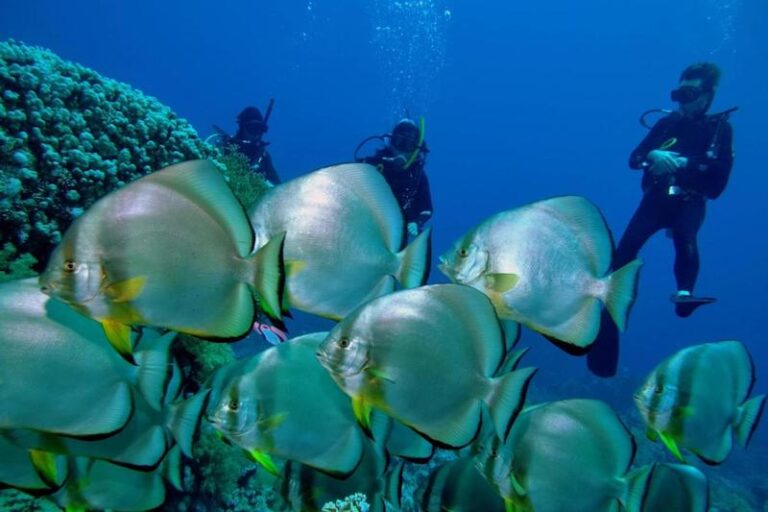 Renaissance Sharm El Sheikh Golden View Beach Resort