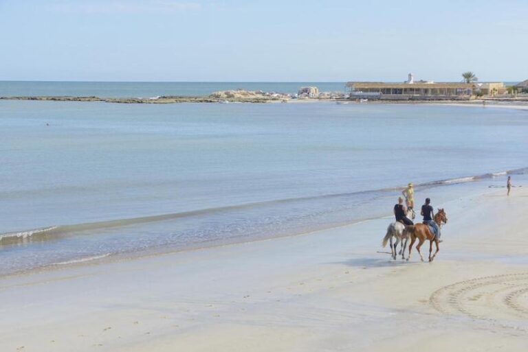 Monarque Dar Jerba Narjess