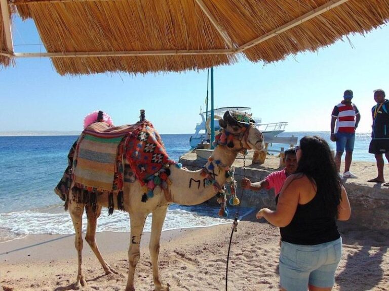 Moreno Horizon Spa and Resort