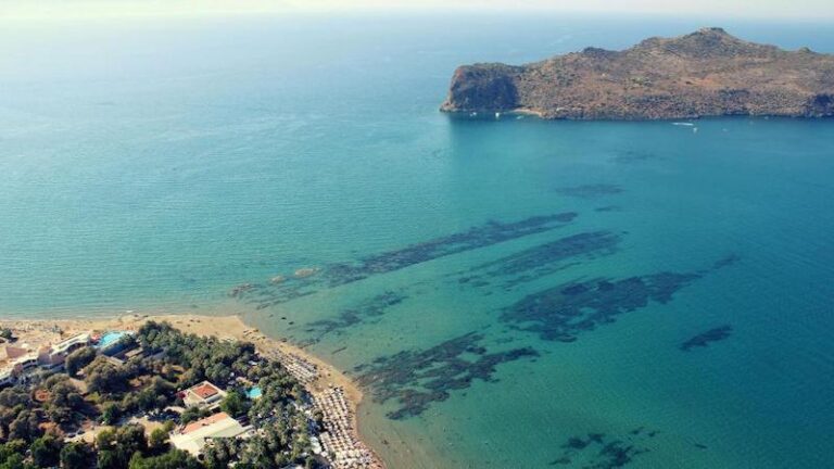 Chrispy Beach Resort